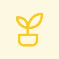 icon 4